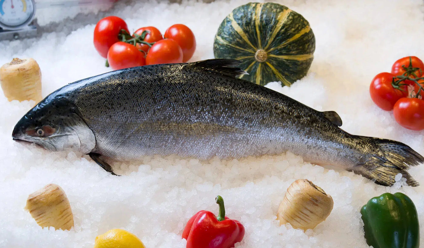 Steelhead Trout Whole