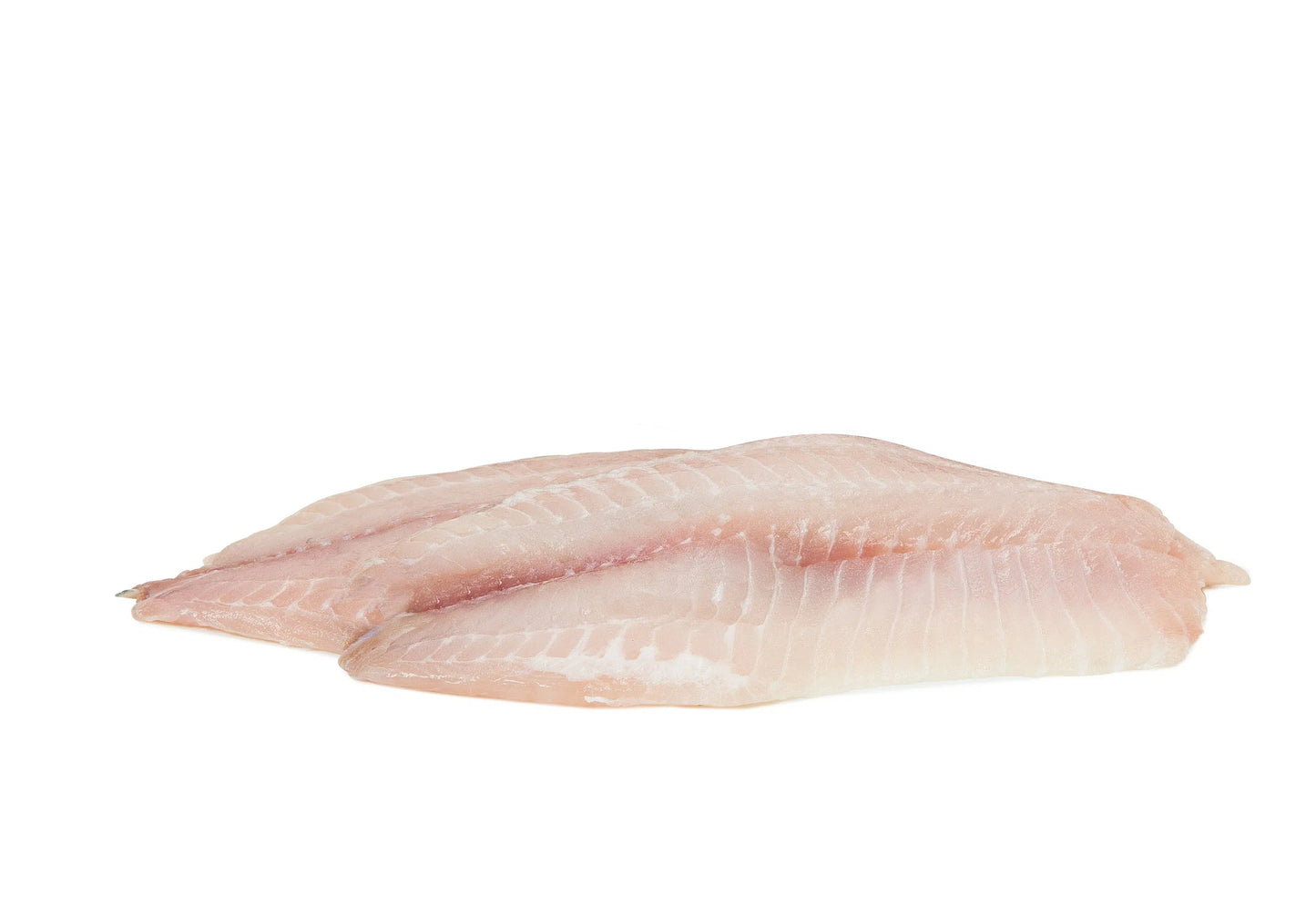 Tilapia Fillet