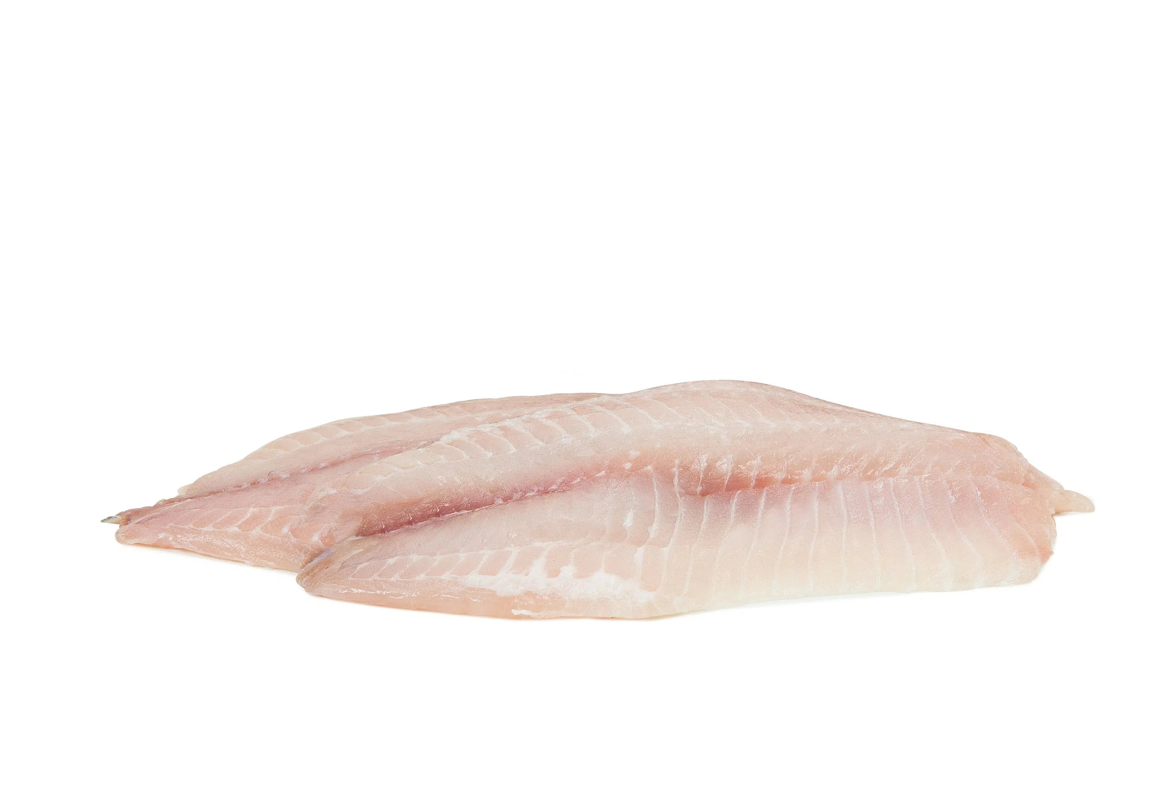Tilapia Fillet