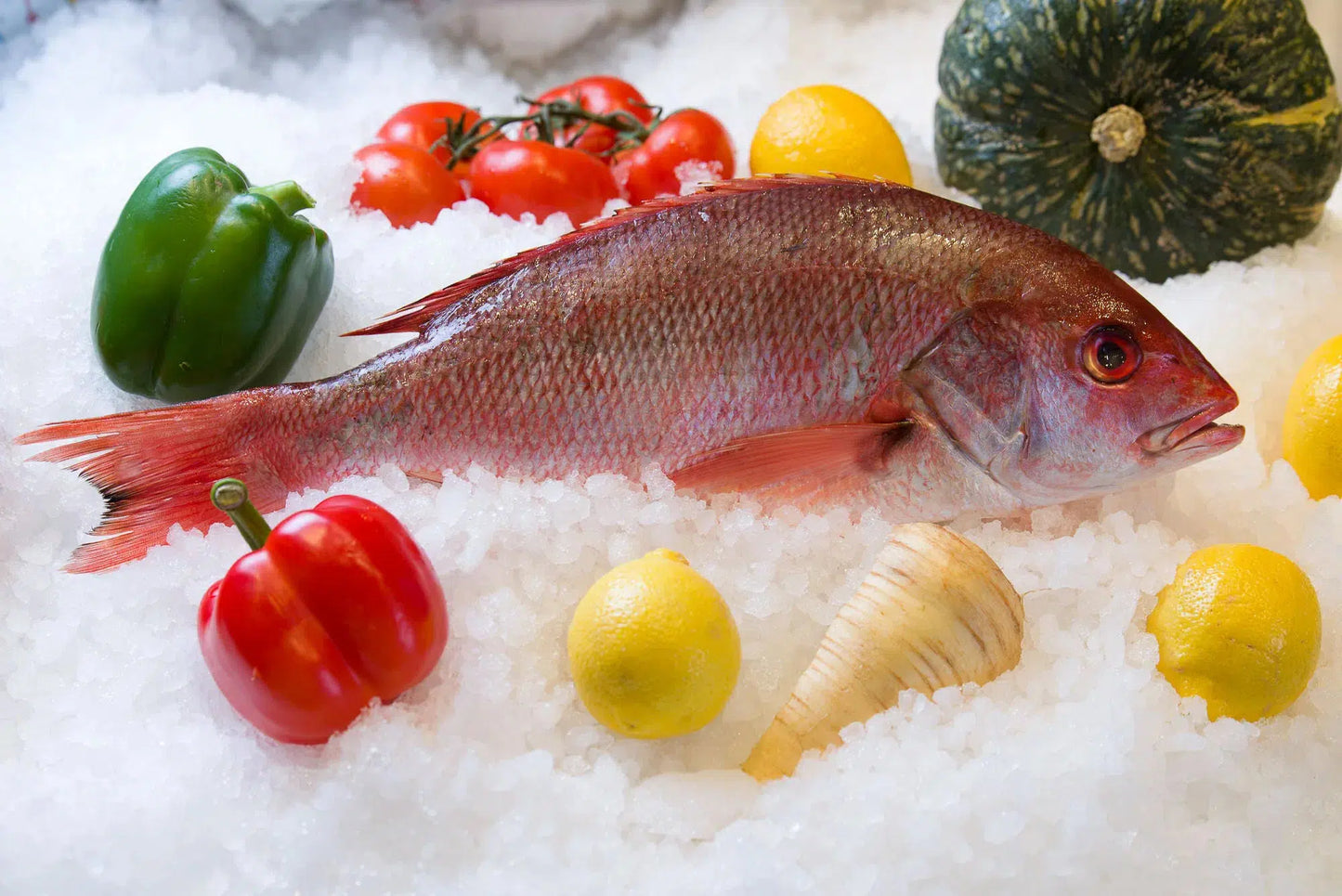 Red Snapper Whole