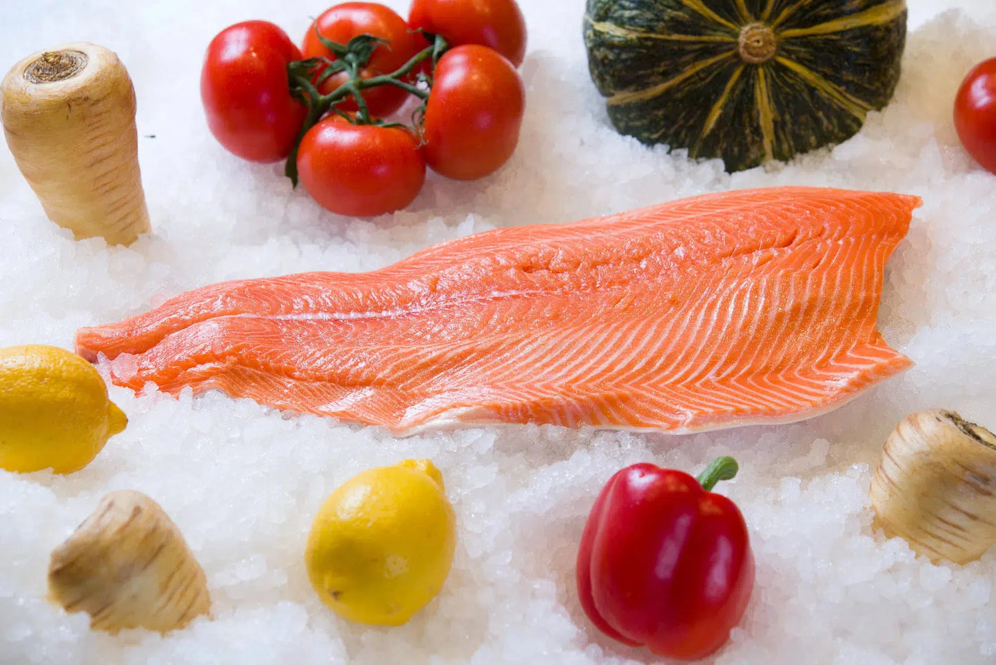 Steelhead Trout Side