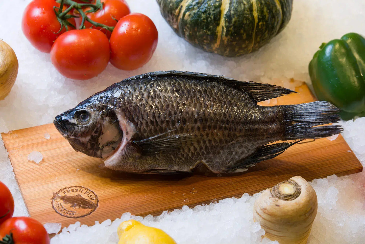 St. Peter Tilapia Whole (Frozen)