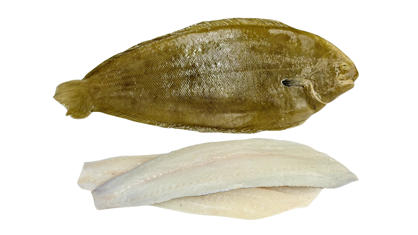 Dover Sole